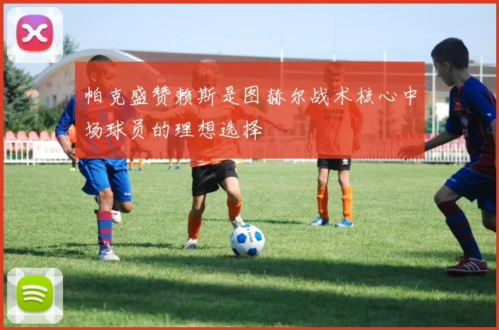 帕克盛赞赖斯是图赫尔战术核心中场球员的理想选择