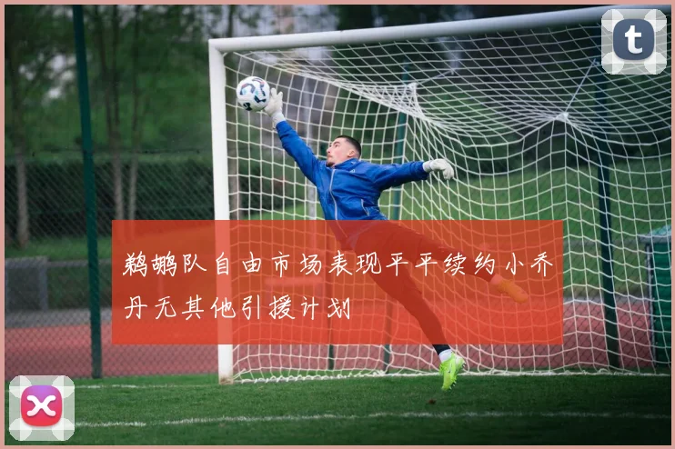 鹈鹕队自由市场表现平平续约小乔丹无其他引援计划